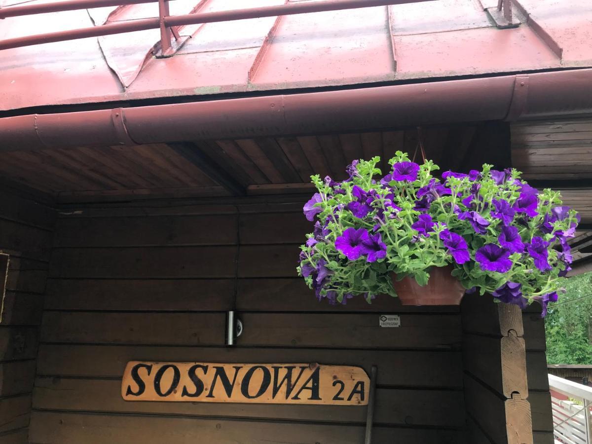 Sosnowy Zakatek Wisła Exterior foto